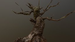 Dead Tree tree, dead_tree, environment