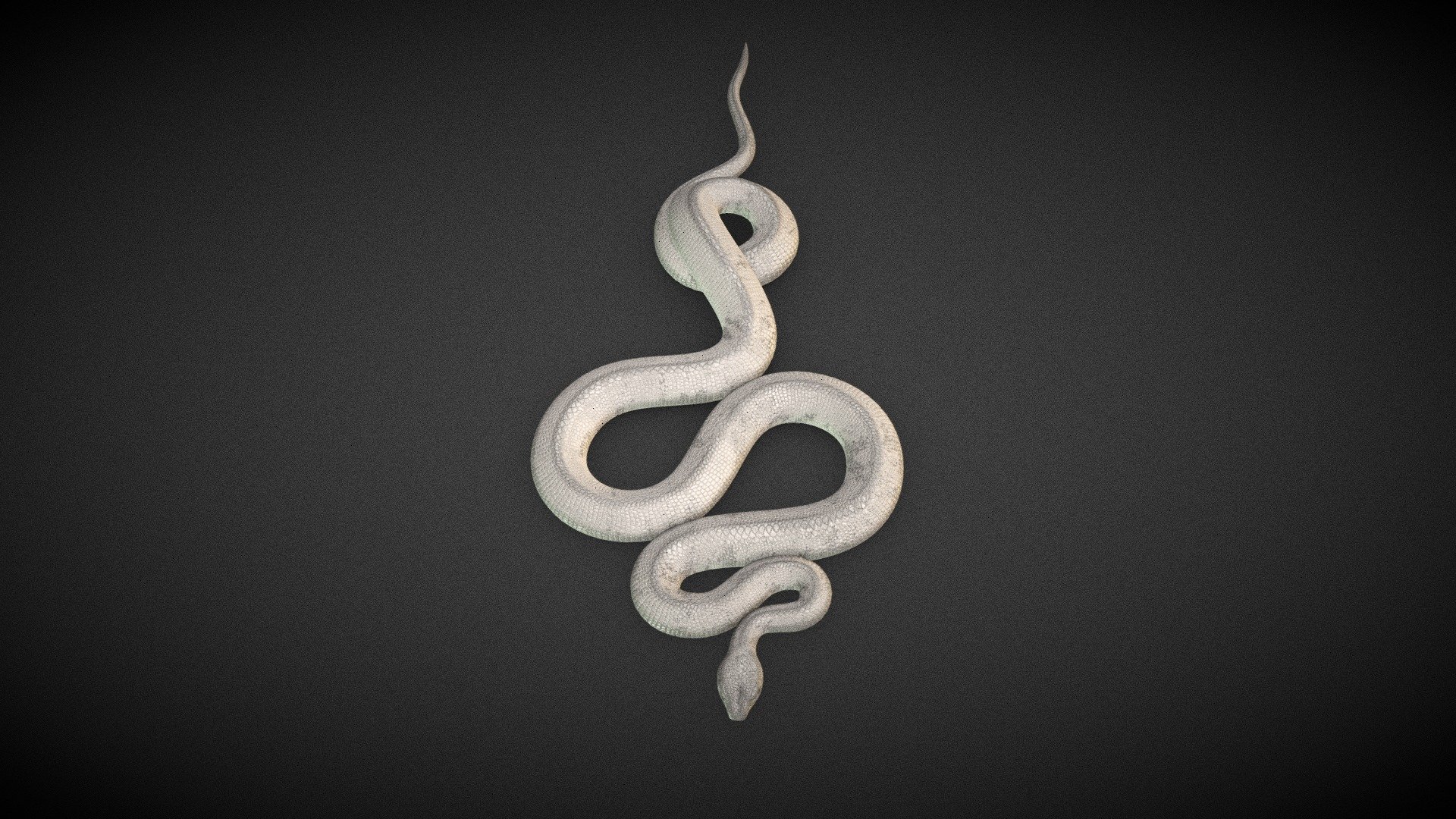 Ancient White Snake 3d model

4K textures set is available - White Snake - Buy Royalty Free 3D model by Eugene Korolev (@eugene.korolev) 3d model