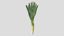 Leek Low Poly PBR Realistic food, rpg, apple, rice, table, vr, meal, ar, bread, kitchen, tomato, onion, fries, soup, vegetable, vegetables, pepper, salad, potatoe, inventory, leek, asset, game, 3d, low, poly, shop