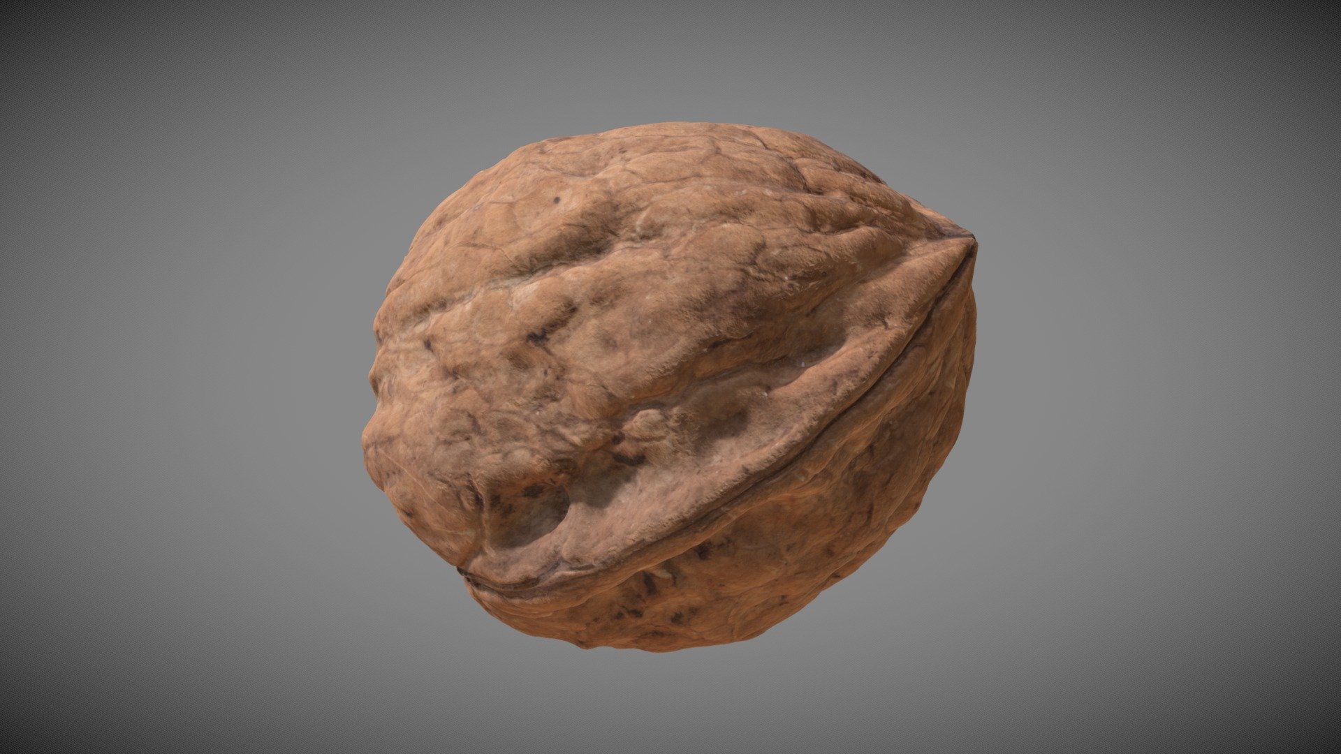 Detailed photogrammetry scan of an unopened walnut - Walnut - Buy Royalty Free 3D model by Eydeet 3d model