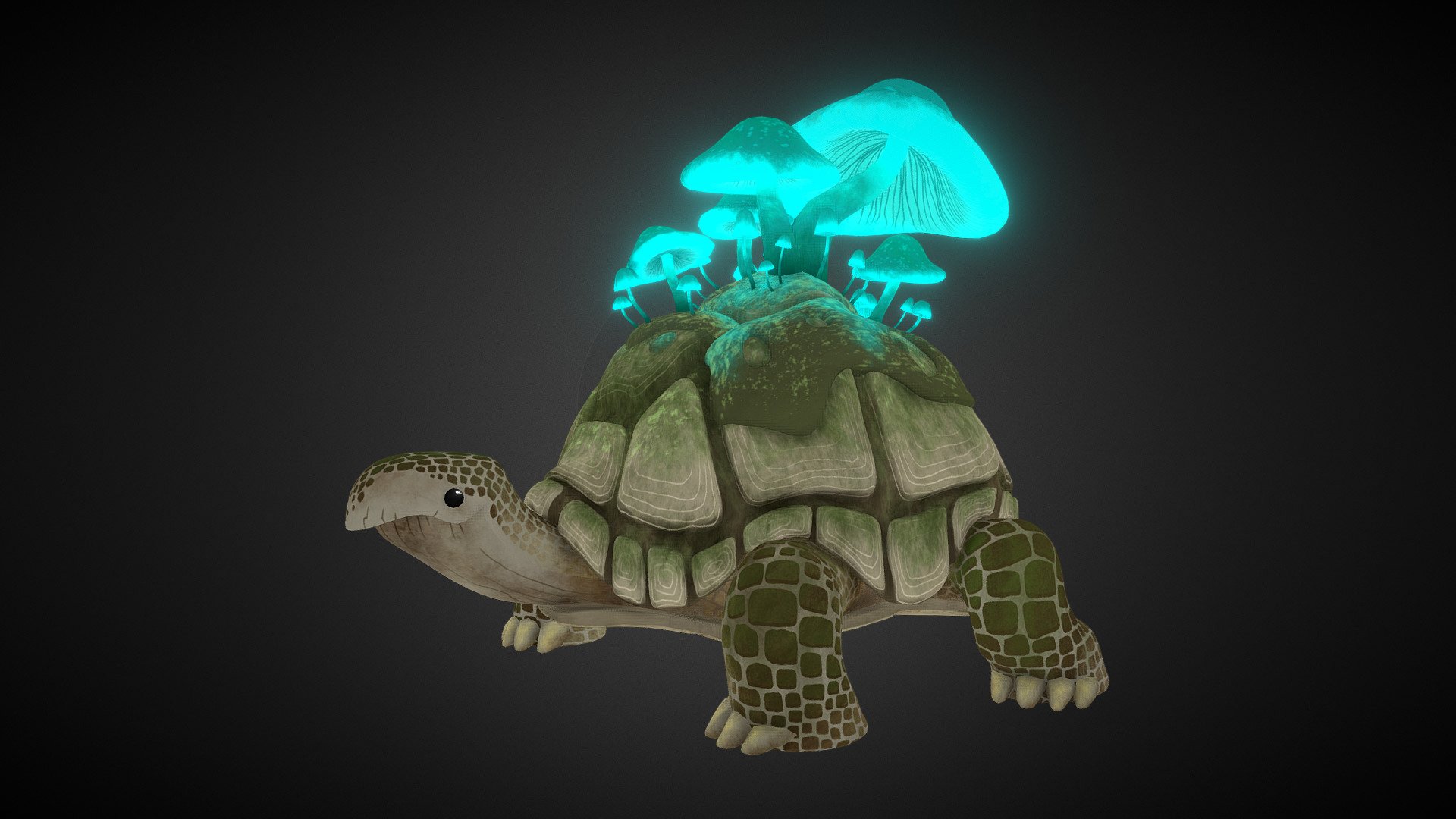 This model was inspired by a quote from the Cryptonaturalist Podcast: &ldquo;Turtles are just rocks that have mastered the power of positive thinking!