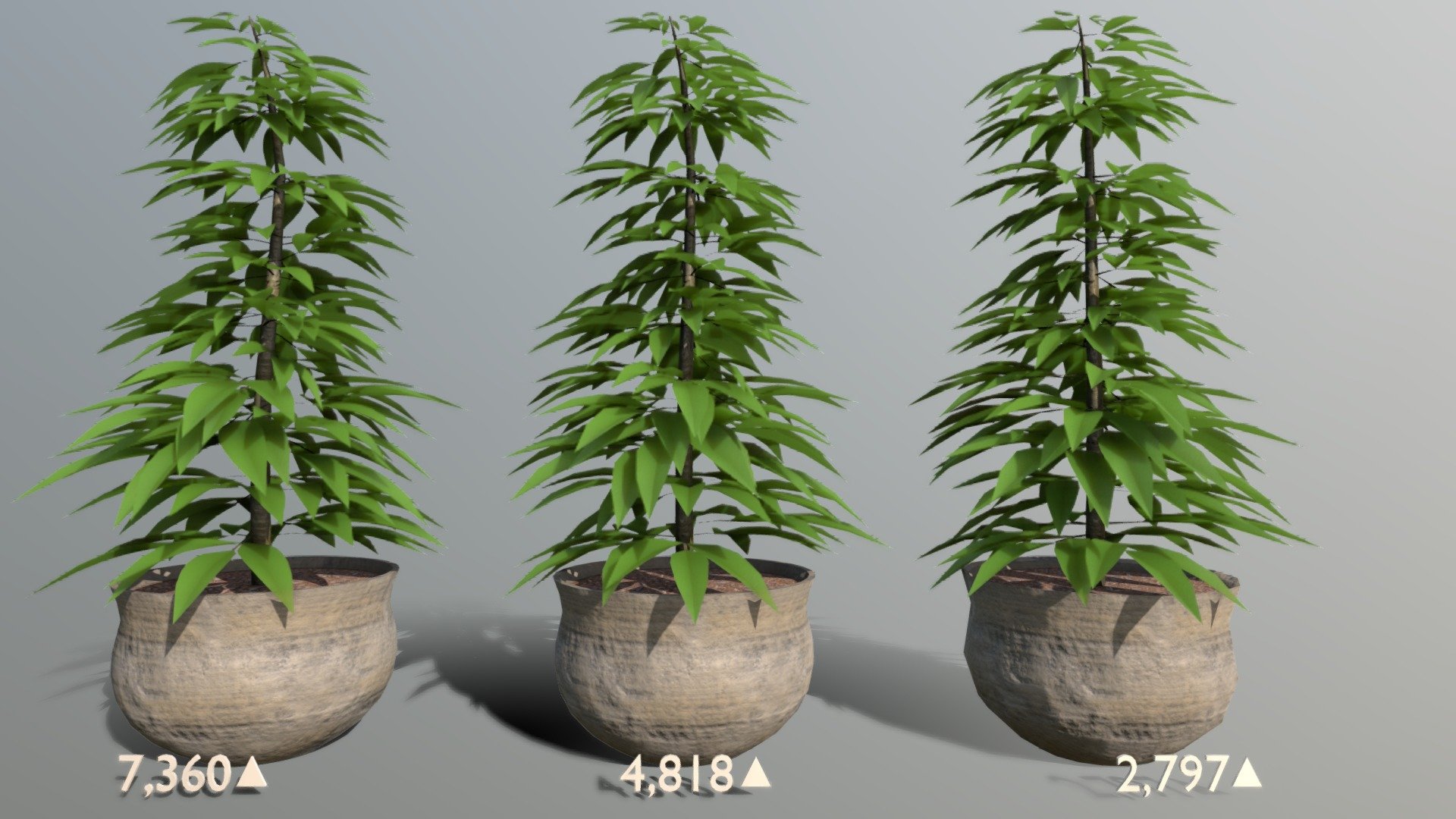 A tall, modern, ficus-styled house plant in a rustic pot. Made to be game ready with three levels of detail 3d model