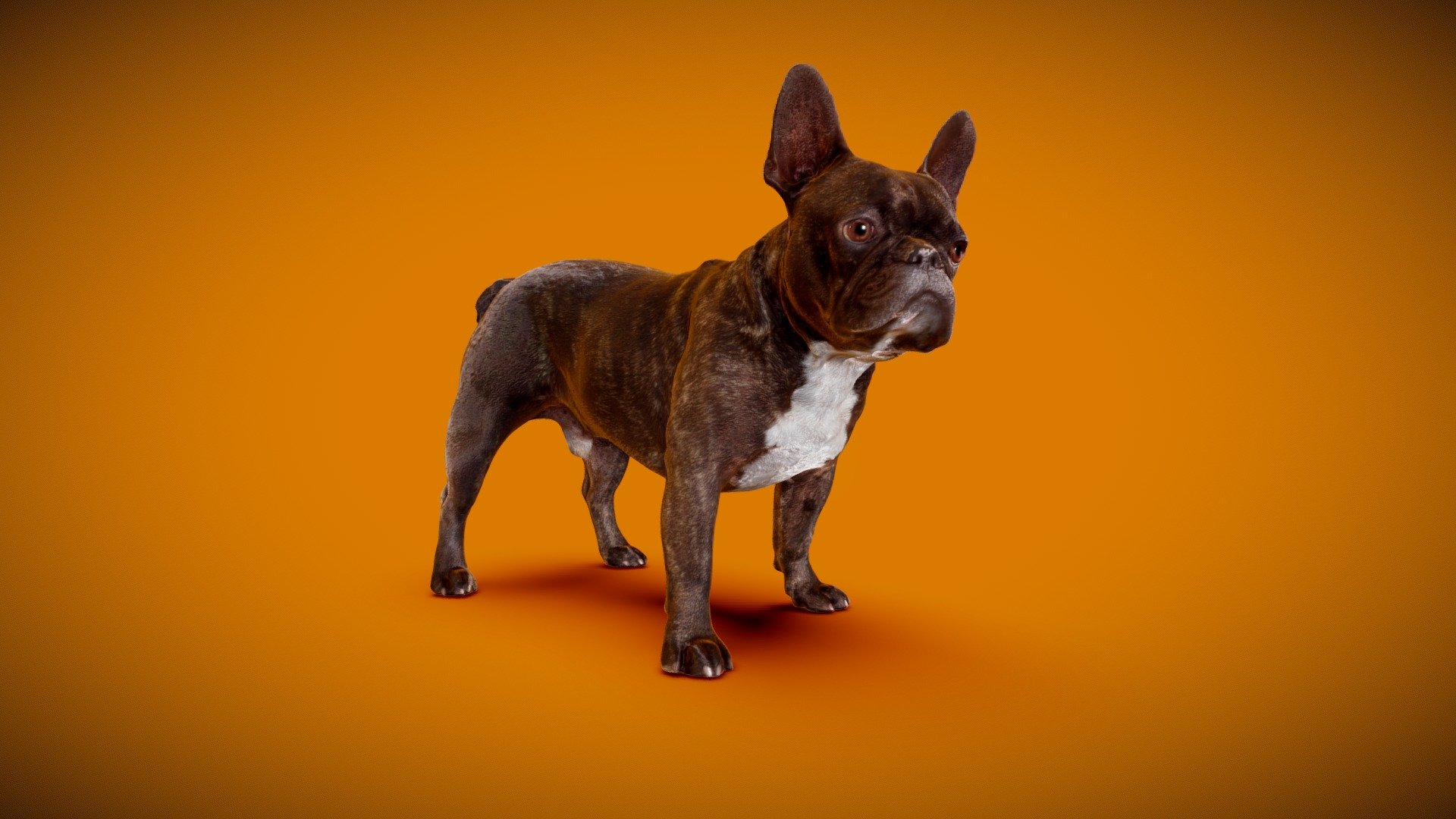 3D Fullbodyscan DOG Male retopologized SubdivLvl3, 
based on DOG B - 8of13: https://skfb.ly/o9r6K




8K and 4K PBR-Textures (Diffuse, Roughness, Normal, SSS)

only one UV-Shell for simple anisotropy (no FlowMap required!) to fake short fur!

Real World Scale

watertight

quads

ScanService: www.optimission.de - DOG B - 8of13- PBR QuadRetopo - Buy Royalty Free 3D model by Frank.Zwick (@Frank_Zwick) 3d model