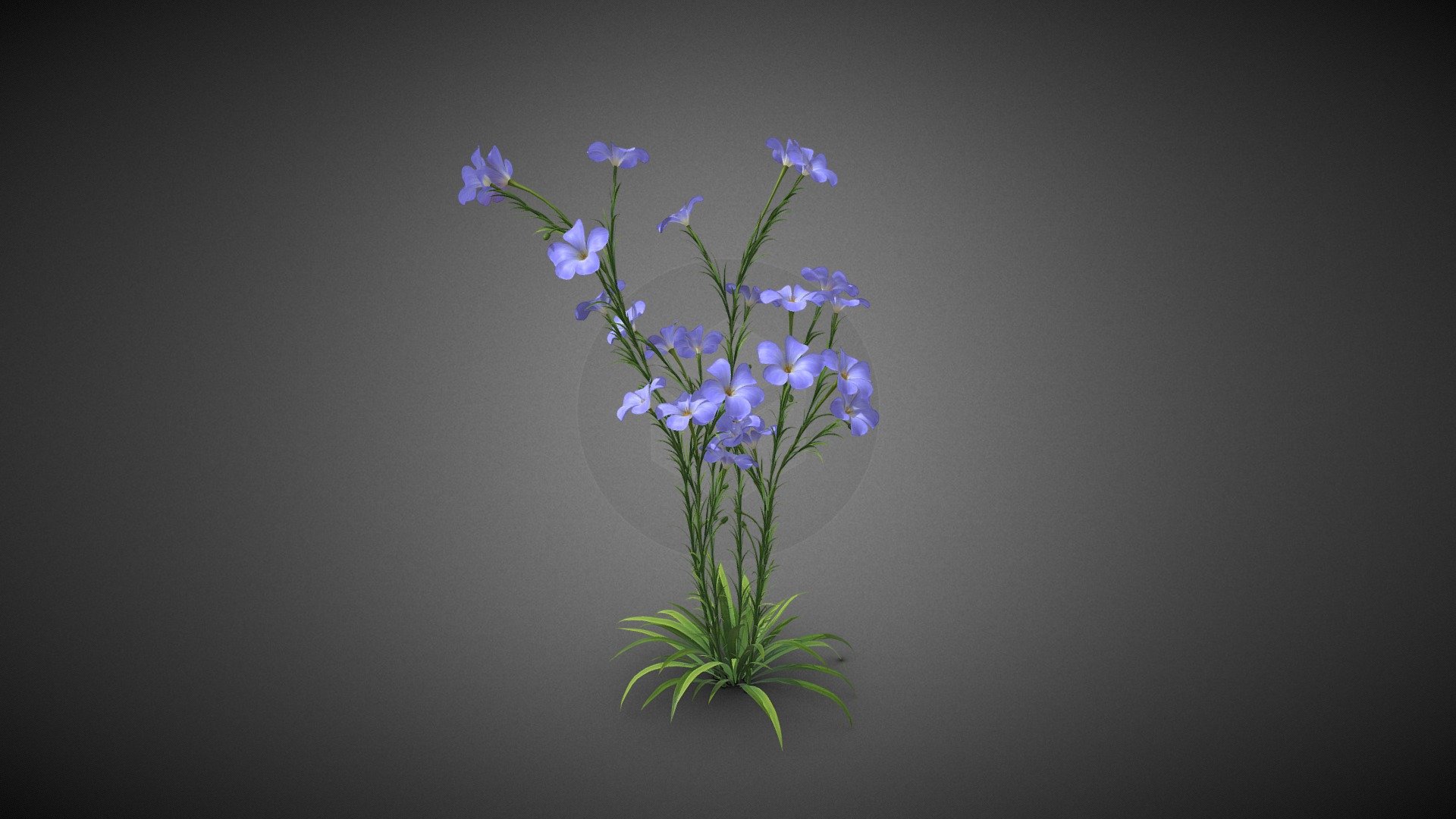 flower plant - flower plant - Buy Royalty Free 3D model by misitewang 3d model