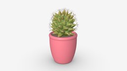 Cactus in pot green, plant, pot, flower, garden, cactus, growth, potted, leaf, botany, grow, nature, succulent, botanic, houseplant, 3d, pbr