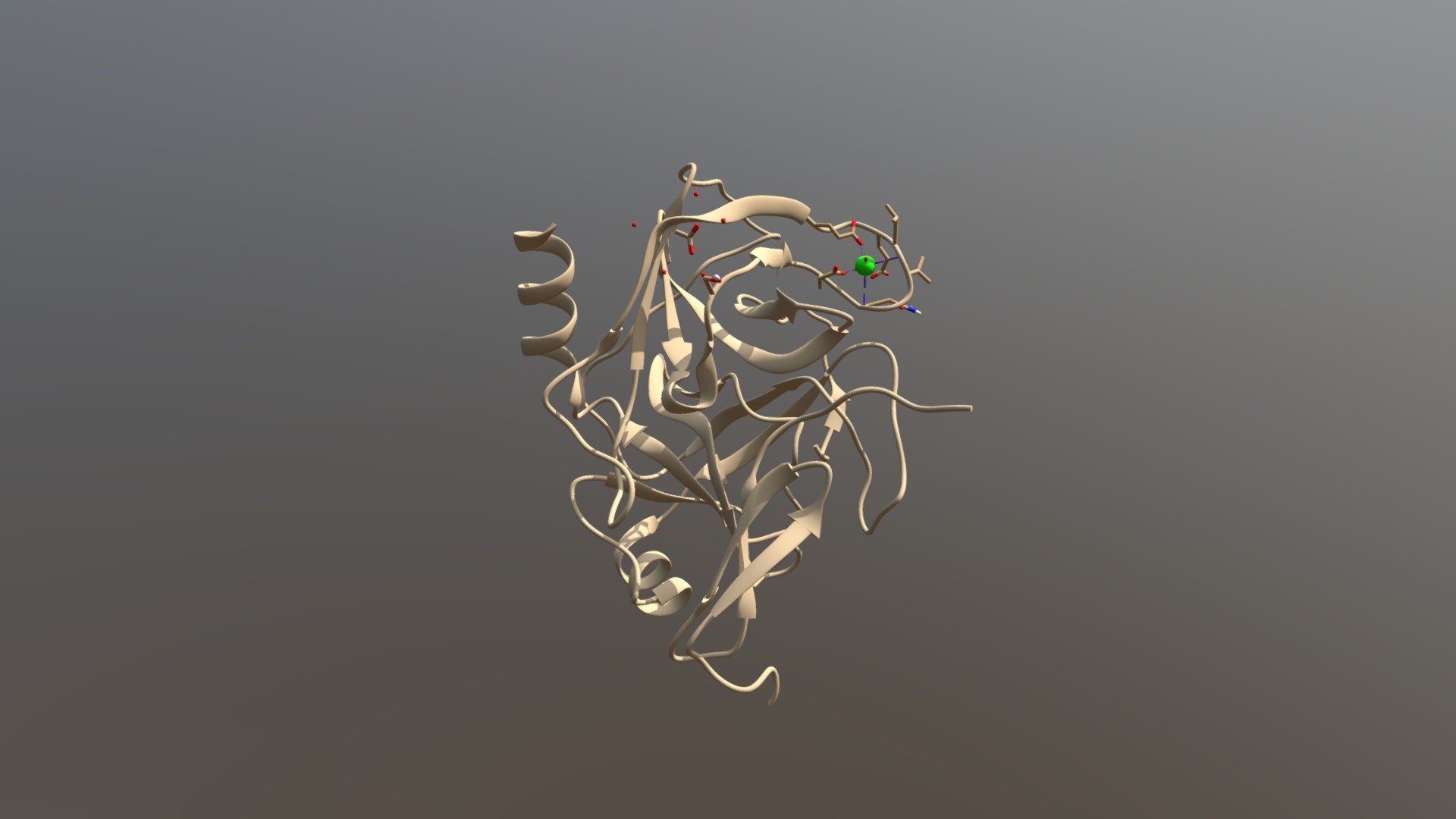 Based on PDB entry 2XTT. Bovine trypsin is a serine protease that cleaves next to positively charged amino acid side chains. SGPI-P02 is a modified serine protease inhibitor isolated from a desert locust 3d model