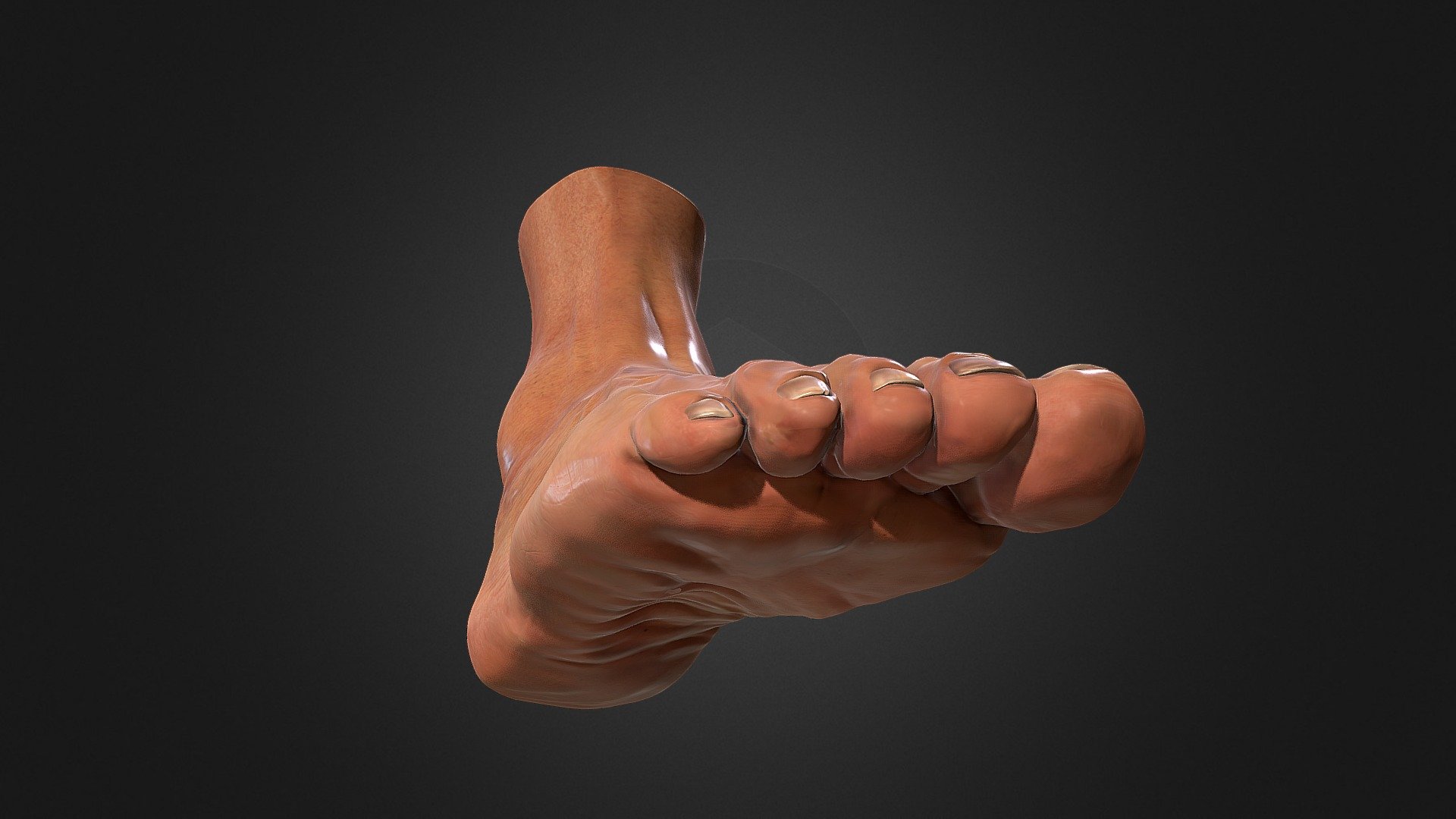 Study of volume of a foot. Modelling and texturing with Zbrush - Foot anatomy - 3D model by JART3D (@jaimeasins) 3d model