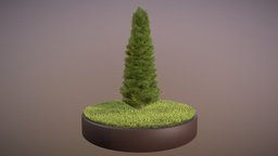 Cypress tree, garden, evergreen, bush, game-ready, leyland, cypress, conifers, vis-all-3d, zypresse, 3dhaupt, software-service-john-gmbh, hecke, bastardzypresse, cupressocyparis-leylandii, thuya, cypress-version, low-poly