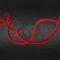DNA Animation helix, dna, blender, human