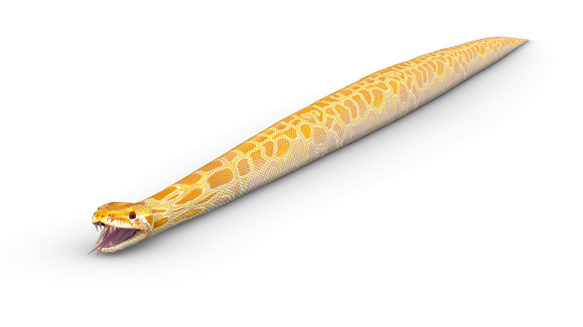 LowPoly Realistic Yellow Python Snake, 1024x1024 texture size (nirmal,difuse,specular) - LowPoly Realistic Yellow Python Snake - Buy Royalty Free 3D model by Oleg Shuldiakov (@olegshuldiakov) 3d model