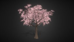 Sakura Tree 01 trees, tree, plants, sakura, cherryblossom, sakuratree, anime, environment
