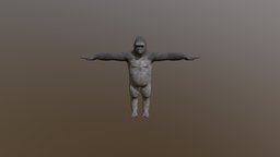 Gorilla gorilla, cc-character, character, game, animation, animated, rigged