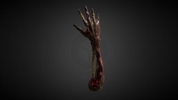Undead Arm Updated undead, zbrush-sculpt, substance-painter, zbrush, zombie