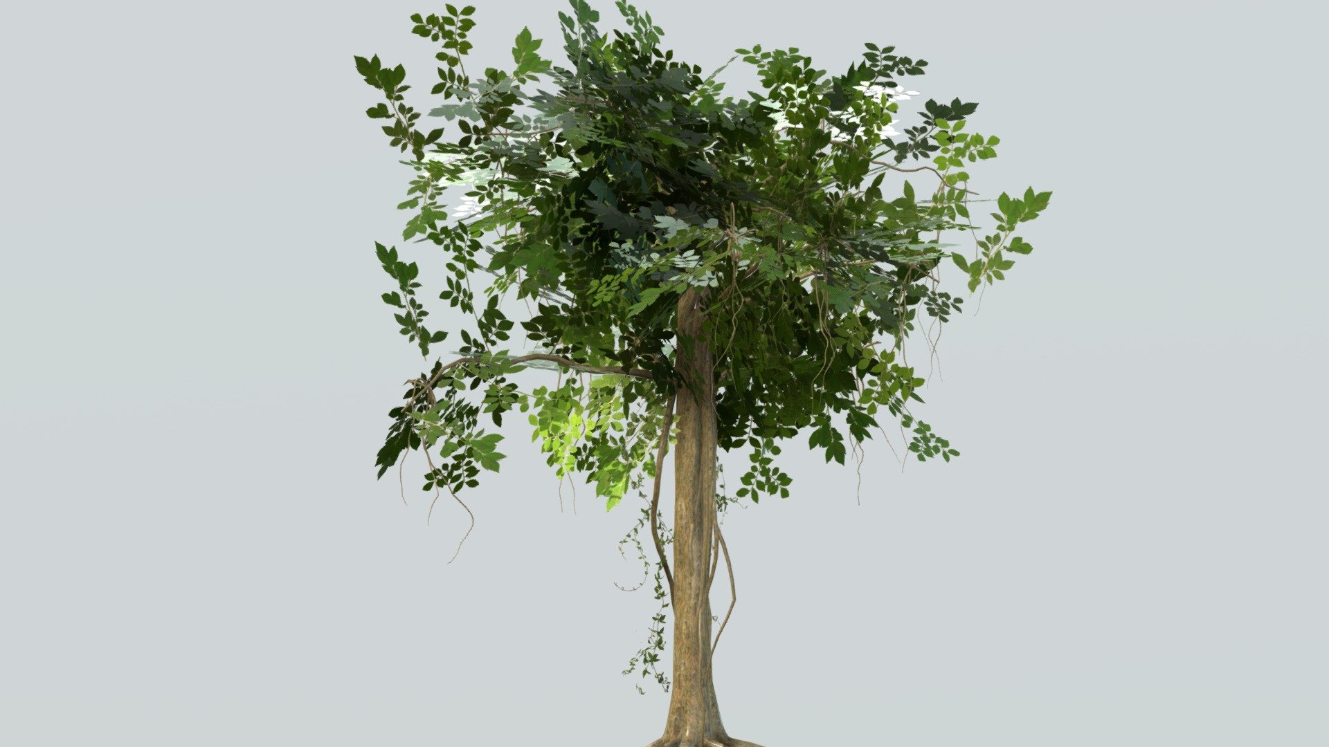 Textured free jungle tree, for all uses just credit me in a place where I can see it - jungle tree - Download Free 3D model by loganghost115 (@juancarlos474) 3d model