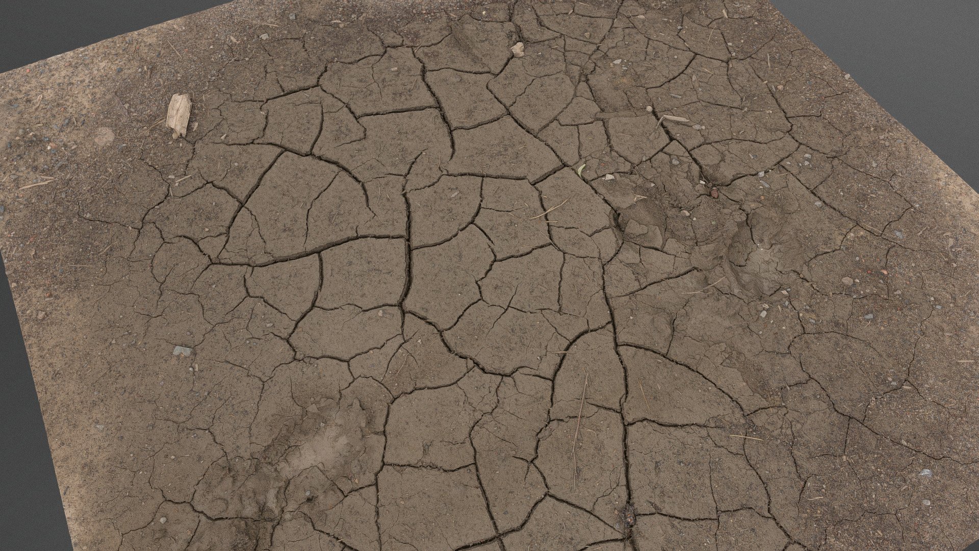 Cracked mud dirt soil ground earth   land barren eroded ground dust bowl with puddle cracks

photogrammetry scan (70x36mp), 2x8k textures - Cracked mud dirt - Buy Royalty Free 3D model by matousekfoto 3d model
