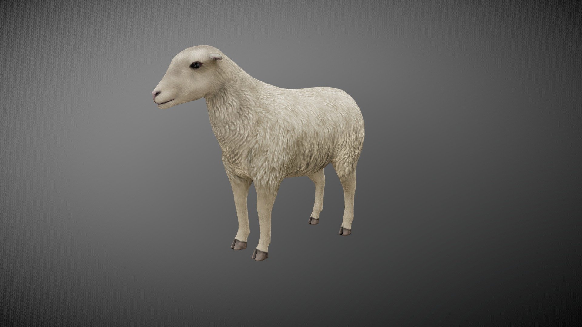 WATCH = https://youtu.be/3efTnSzfS9I

3D Realistic Sheep with Animations

PACKAGE INCLUDE


High quality polygonal model, correctly scaled for an accurate representation of the original object.
Model is built to real-world scale.
Many different format like blender, fbx, obj, iclone, dae
No additional plugin is needed to open the model.
3d print ready in different poses
Separate Loopable Animations
Ready for animation
High Quality materials and textures
Triangles = 2590
Vertices = 1301
Edges = 3885
Faces = 2590

ANIMATIONS


Idle
Walk
Walk Fast

3D PRINT POSES ( STL  OBJ )


Stand
Foot Style
Stand side look
Walk
 - Sheep Animated - Buy Royalty Free 3D model by Bilal Creation Production (@bilalcreation) 3d model