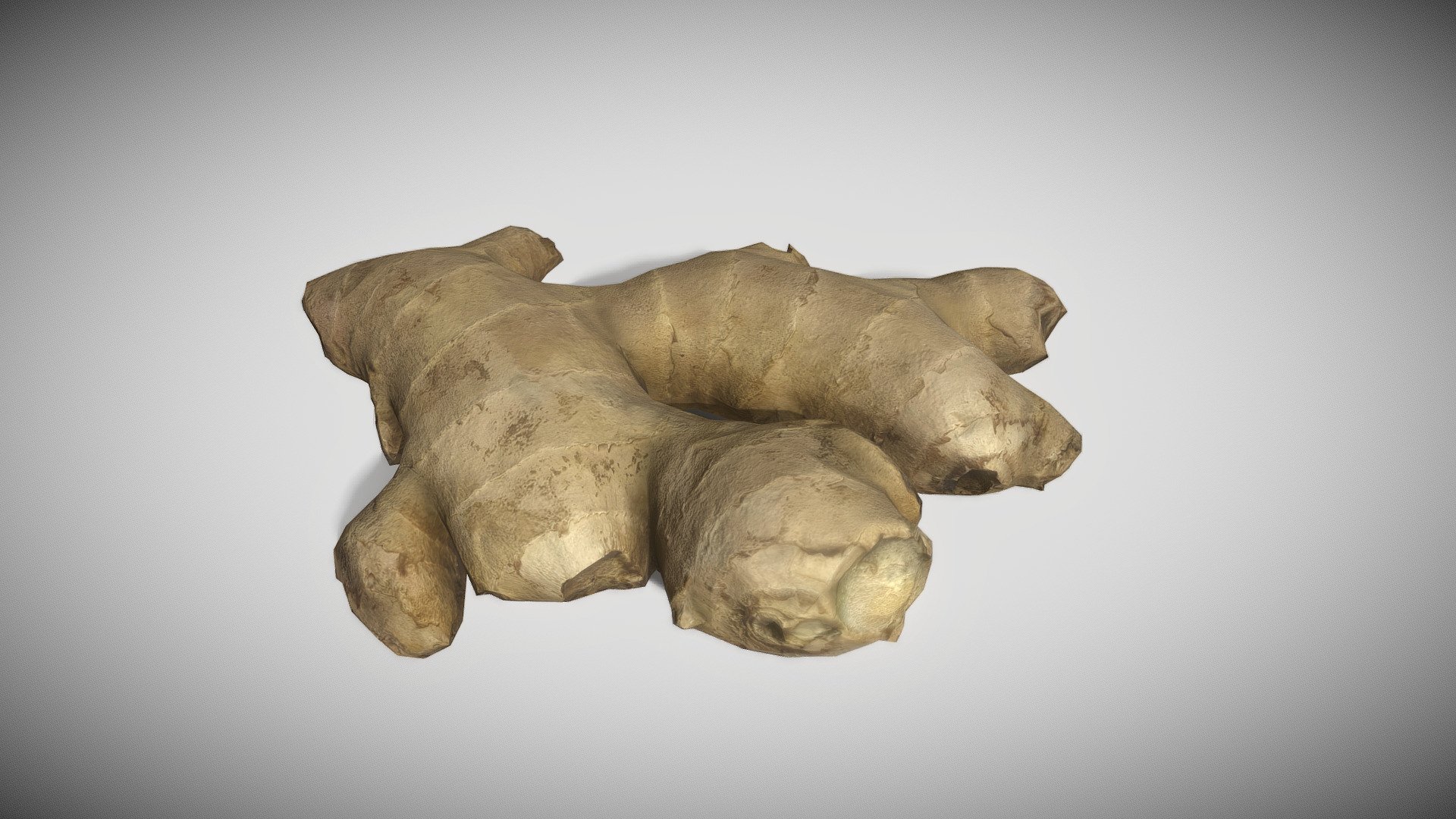 Ginger root. Photoscanned and retopologized. Low-poly(ish) 3d model