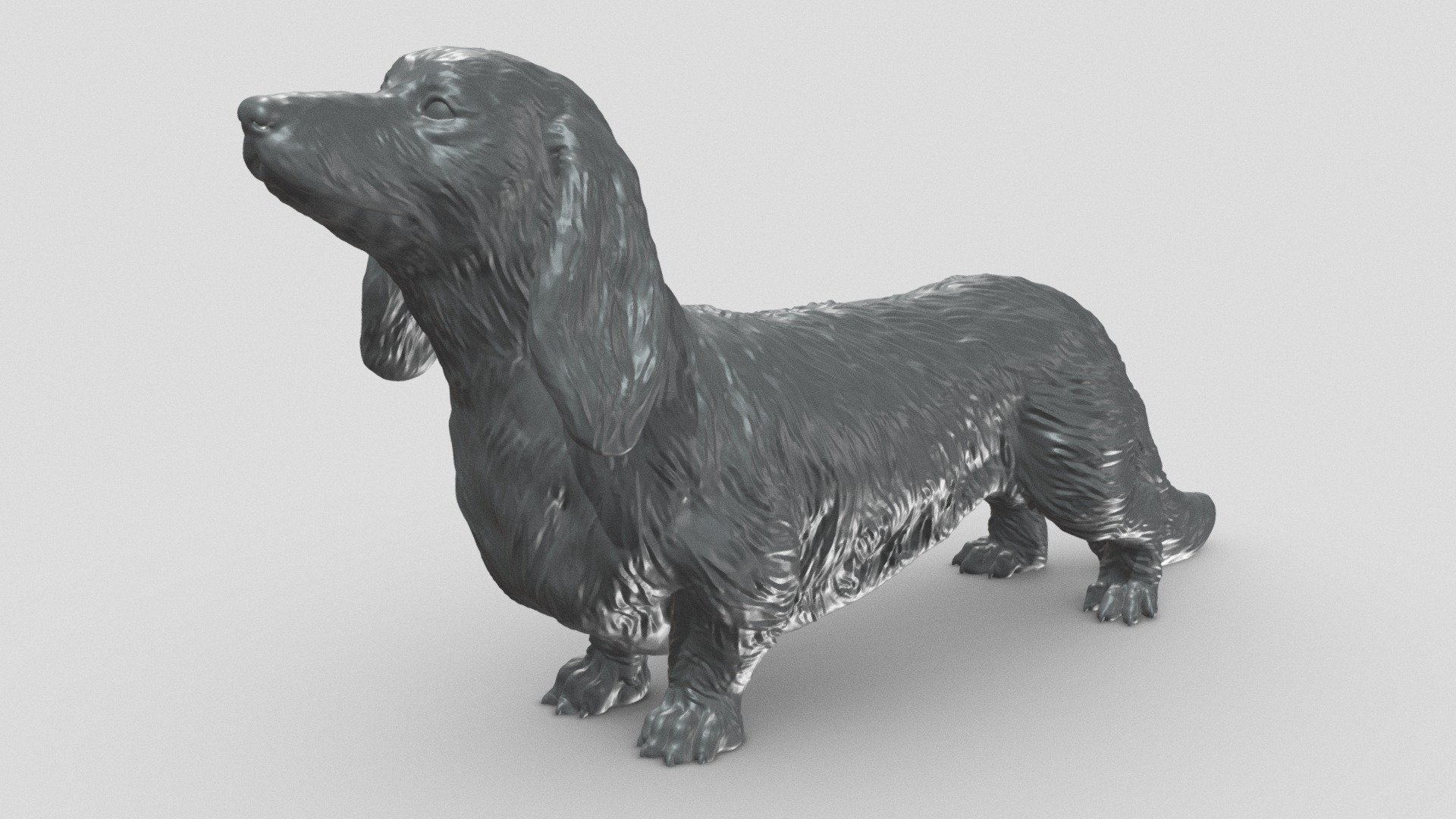 Preview shows decimated version. Extra files included .STL format.

STL file checked by Netfabb

Model height 100 mm, but you can change the size you like

It is suitable for decorating your room or desk, and of course you can give it to your loved ones

I hope you like it and thanks for the support! - Long Haired Dachshund V2 3D print model - 3D model by Peternak 3D (@peternak3d) 3d model