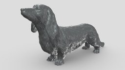 Long Haired Dachshund V2 3D print model stl, dog, pet, animals, figurine, 3dprinting, doge, 3dprint, dogstl, stldog