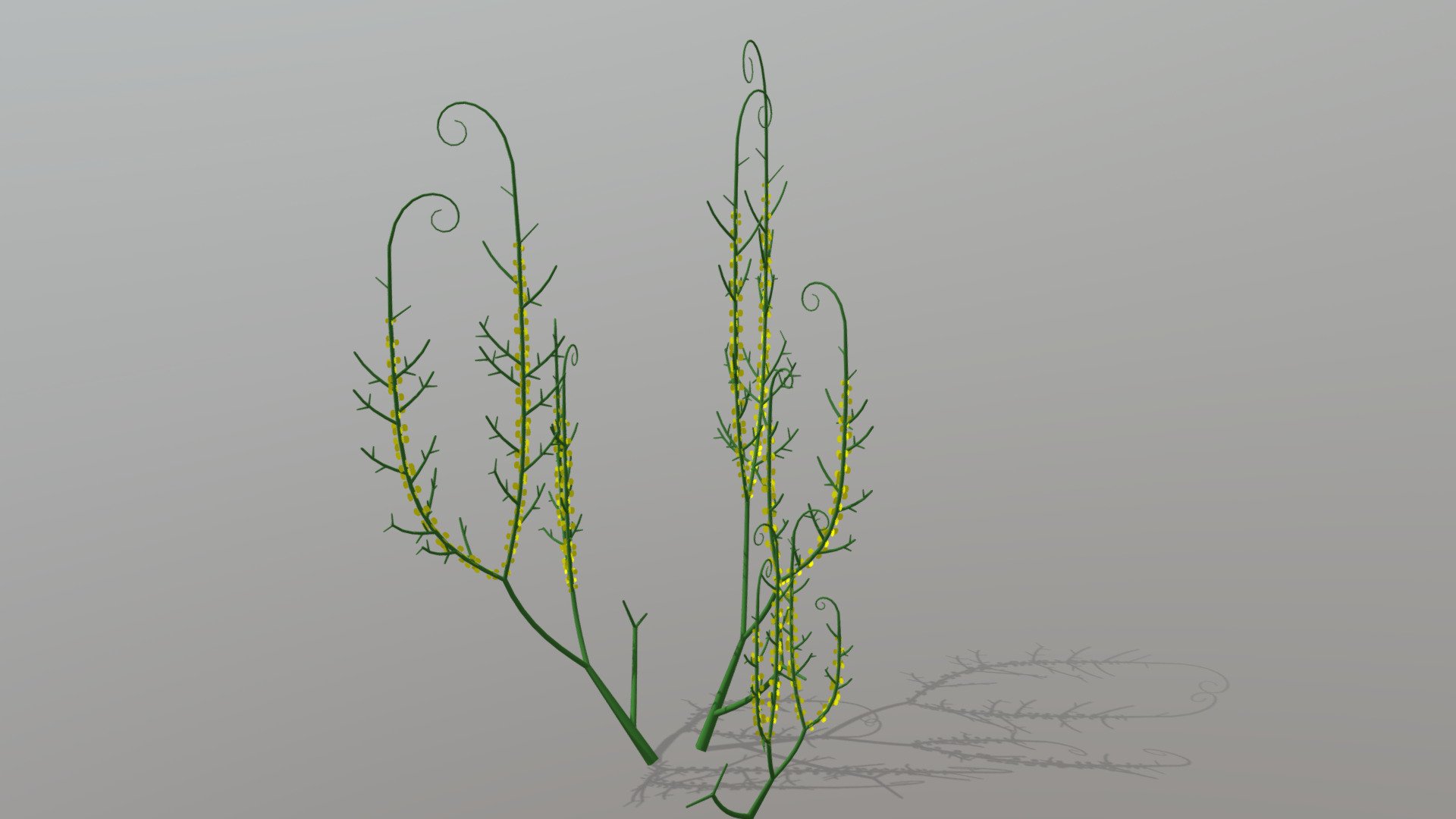 Gosslingia breconensis - 3D model by Paleobiome 3d model
