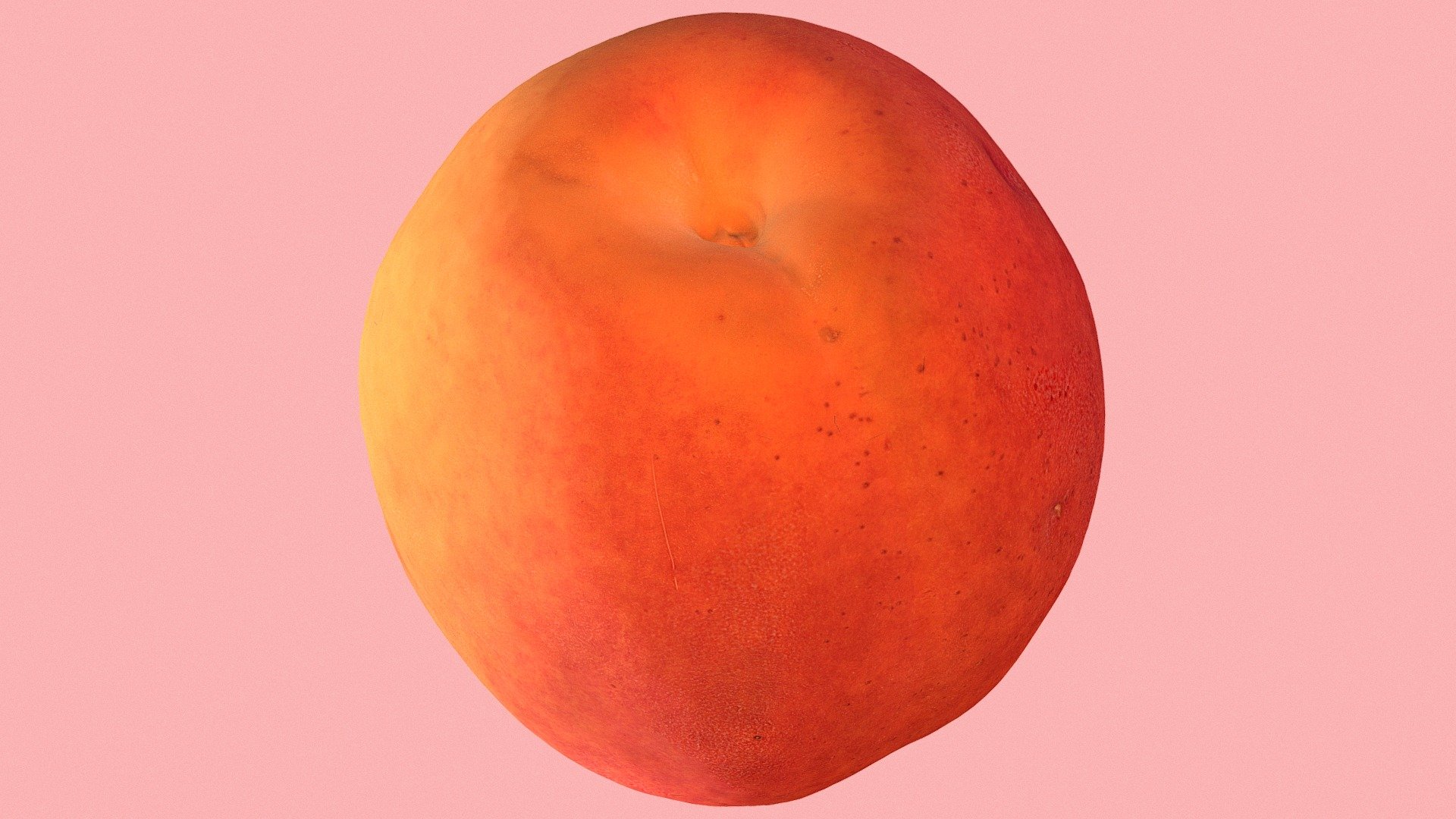 An apricot is a fruit, or the tree that bears the fruit, of several species in the genus Prunus 3d model