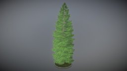 Spruce Tree tree, flora, version, evergreen, vegetation, game-ready, conifer, vis-all-3d, 3dhaupt, software-service-john-gmbh, forest-tree, low-poly, blender3d