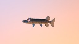 Pike fish, rigging, river, teeth, horn, water, pike, stylizedcharacter, character, animal, stylized, gamecharacter