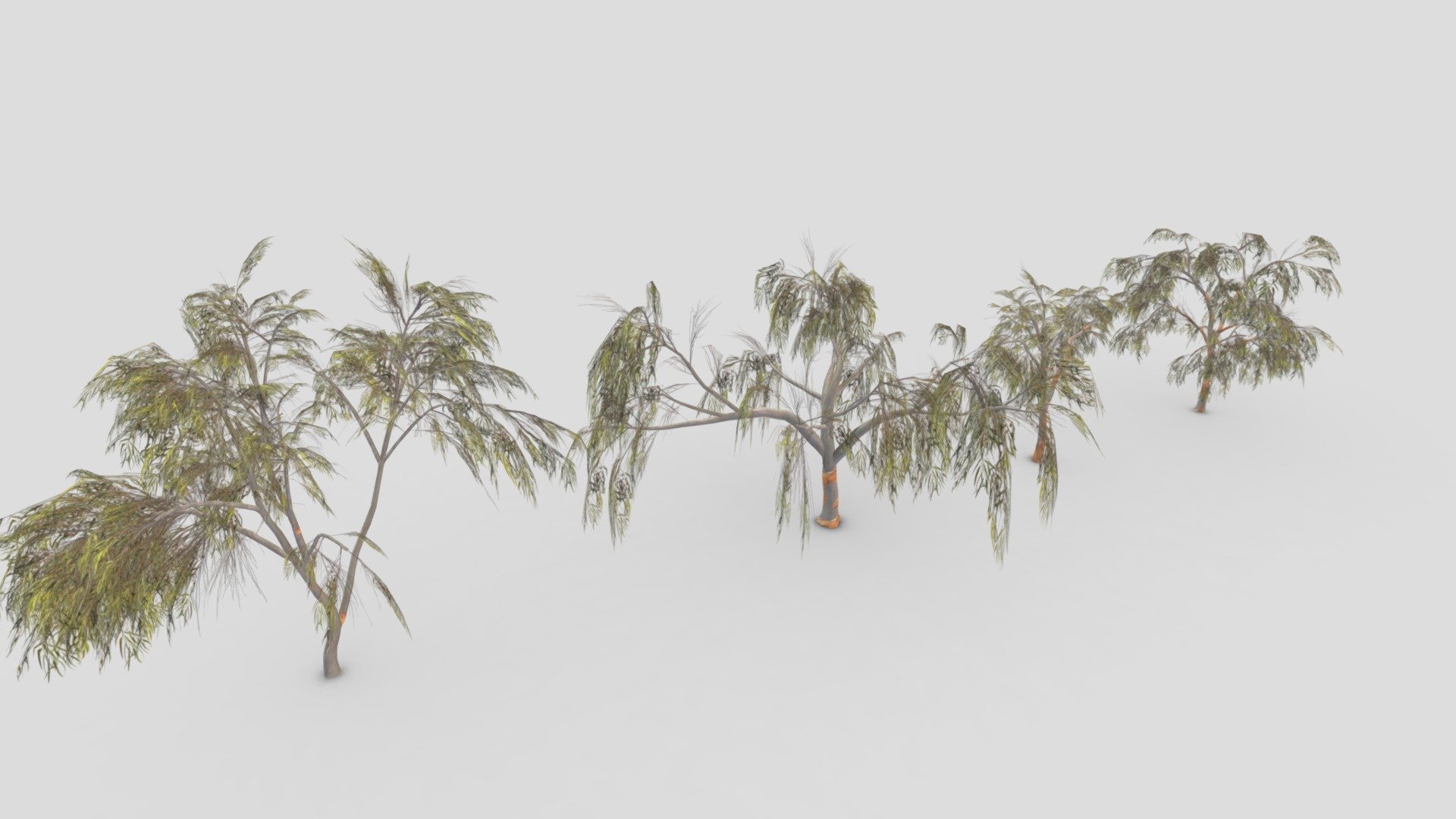 This a low ploy pack of 4 3D model of the Eucalyptus trees. I made this file for game developers and I try to provide lowpoly model 3d model