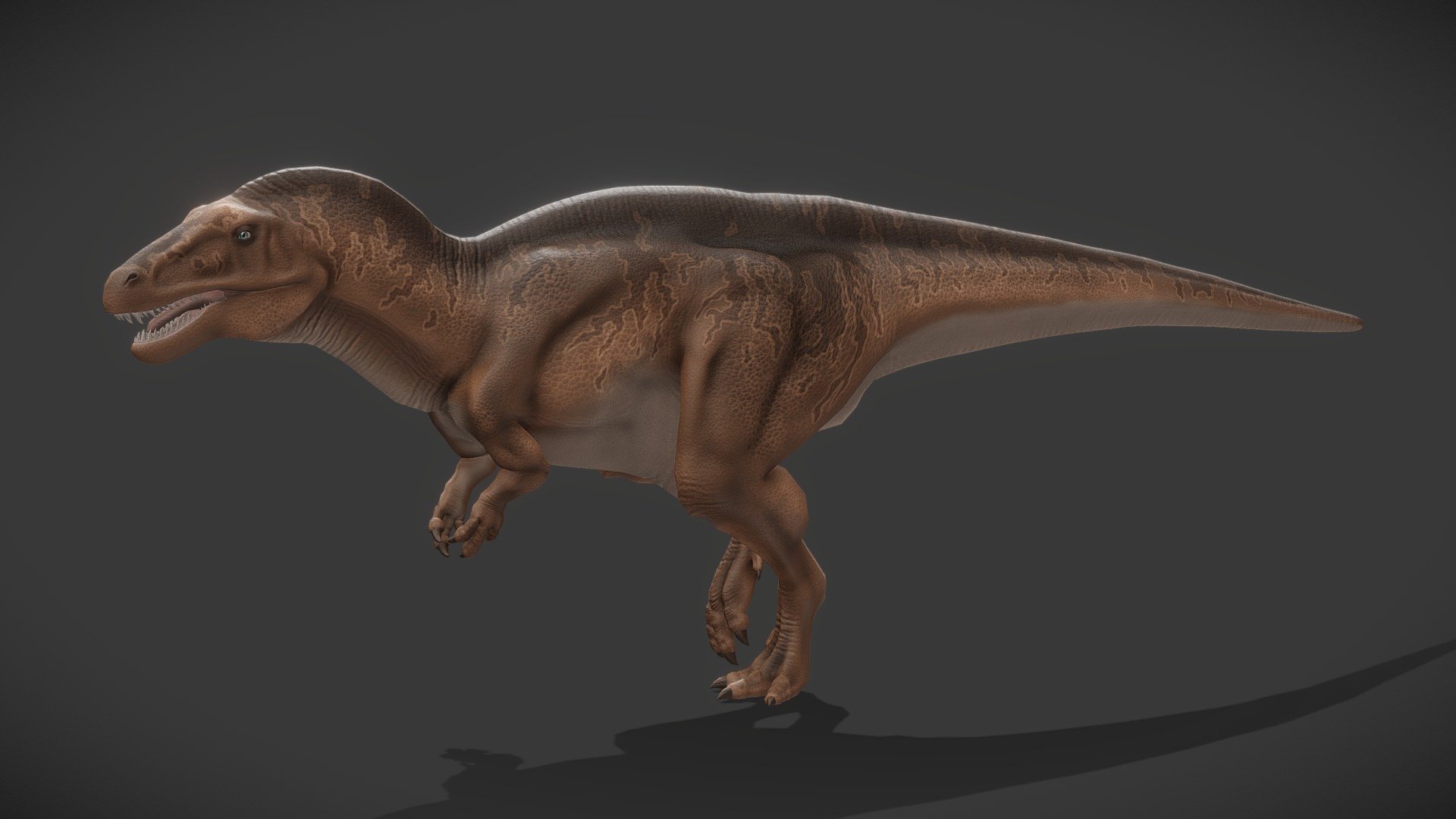 An animated Acrocanthosaurus Atokensis I've made with Blender and Gimp.

– For more dinosaurs, don't hesitate to take a look at my Prehistoric Animals collection and subscribe to it to stay tuned of new creatures. – - Acrocanthosaurus Atokensis - Buy Royalty Free 3D model by Kyan0s 3d model