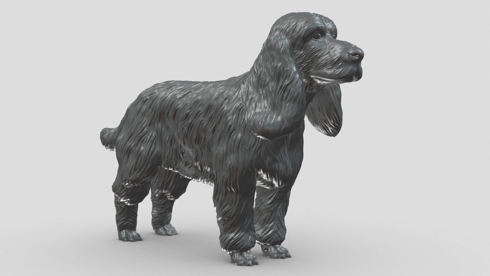 Preview shows decimated version. Extra files included .STL format.

STL file checked by Netfabb

Model height 100 mm, but you can change the size you like

It is suitable for decorating your room or desk, and of course you can give it to your loved ones

I hope you like it and thanks for the support! - English Cocker Spaniel V3 3D print model - Buy Royalty Free 3D model by Peternak 3D (@peternak3d) 3d model