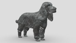 English Cocker Spaniel V3 3D print model stl, dog, pet, animals, figurine, 3dprinting, doge, 3dprint, dogstl, stldog