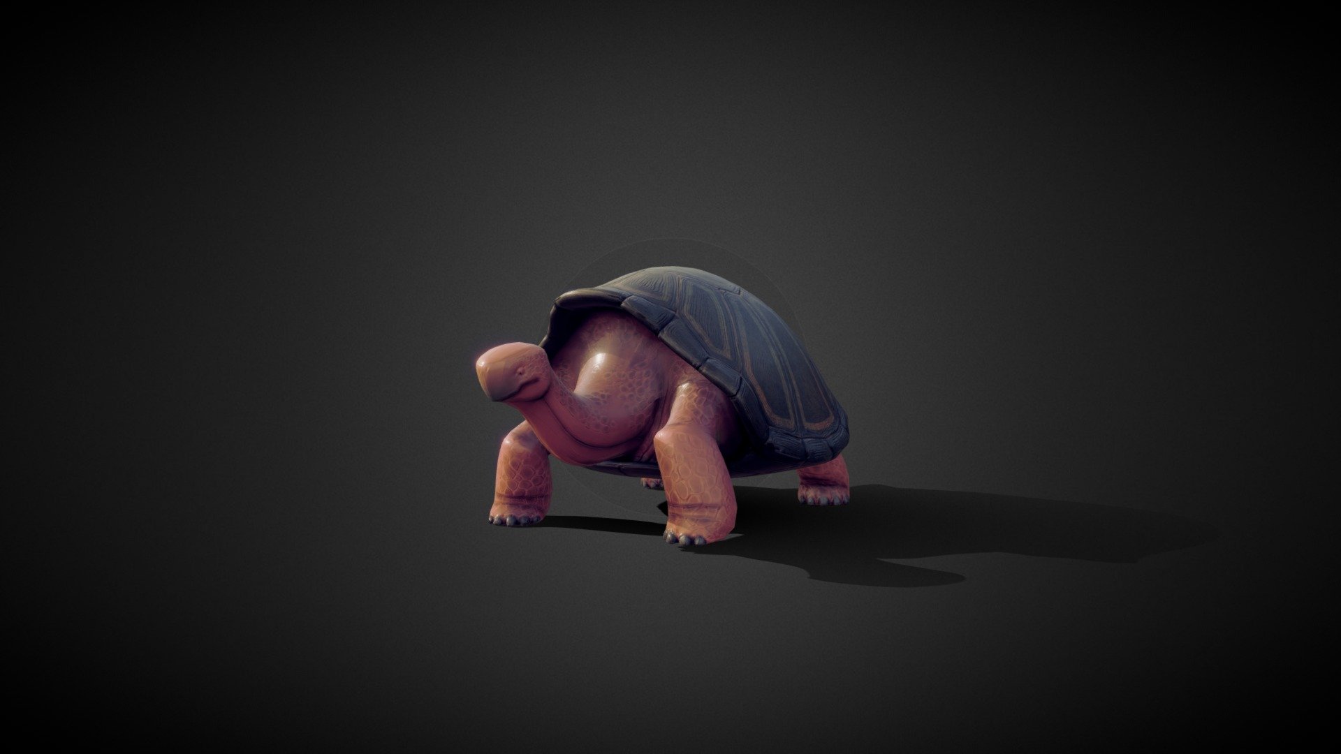 Tortoise animated -  ready for games 3d model