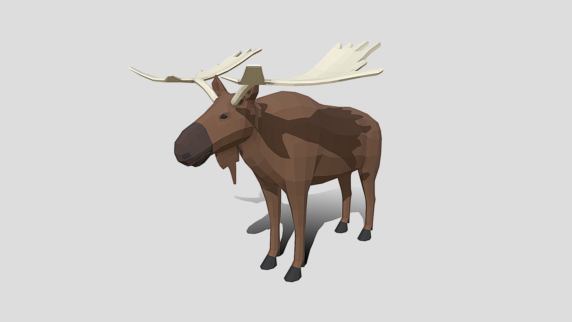 This is a low poly 3D model of a Moose. The low poly Moose was modeled and prepared for low-poly style renderings, background, general CG visualization presented as 1 mesh with quads only. 

Verts : 1.720 Faces : 1.718.

The 3D model have simple materials with diffuse colors.

No ring, maps and no UVW mapping is available.

The original file was created in blender. You will receive a 3DS, OBJ, FBX, blend, DAE, Stl, gLTF.

All preview images were rendered with Blender Cycles. Product is ready to render out-of-the-box. Please note that the lights, cameras, and background is only included in the .blend file. The model is clean and alone in the other provided files, centred at origin and has real-world scale 3d model