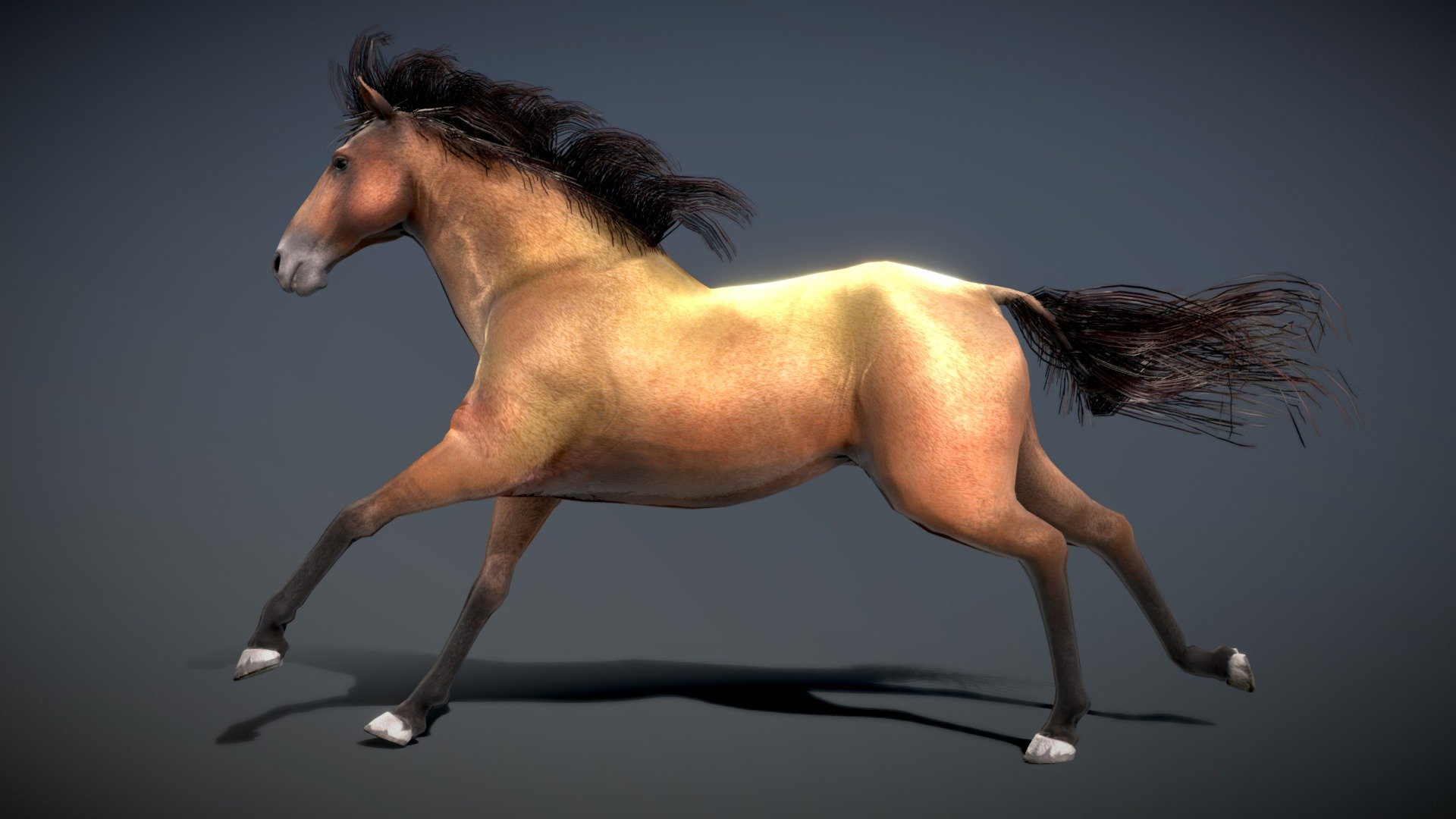 This model can import to Blender. 




Additional files :  Horse — Spanish Mustang ( White ) textures
 - Horse — Spanish Mustang ( Brown ) - Buy Royalty Free 3D model by NestaEric 3d model
