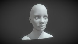 Female Head Realistic Base Mesh #2 3D Model face, sculpt, base, anatomy, mesh, portrait, realistic, head, woman, human-head, female-head, base-mesh, character, girl, bust, female, superficial-anatomy, female-head-base-mesh, human-head-base-mesh