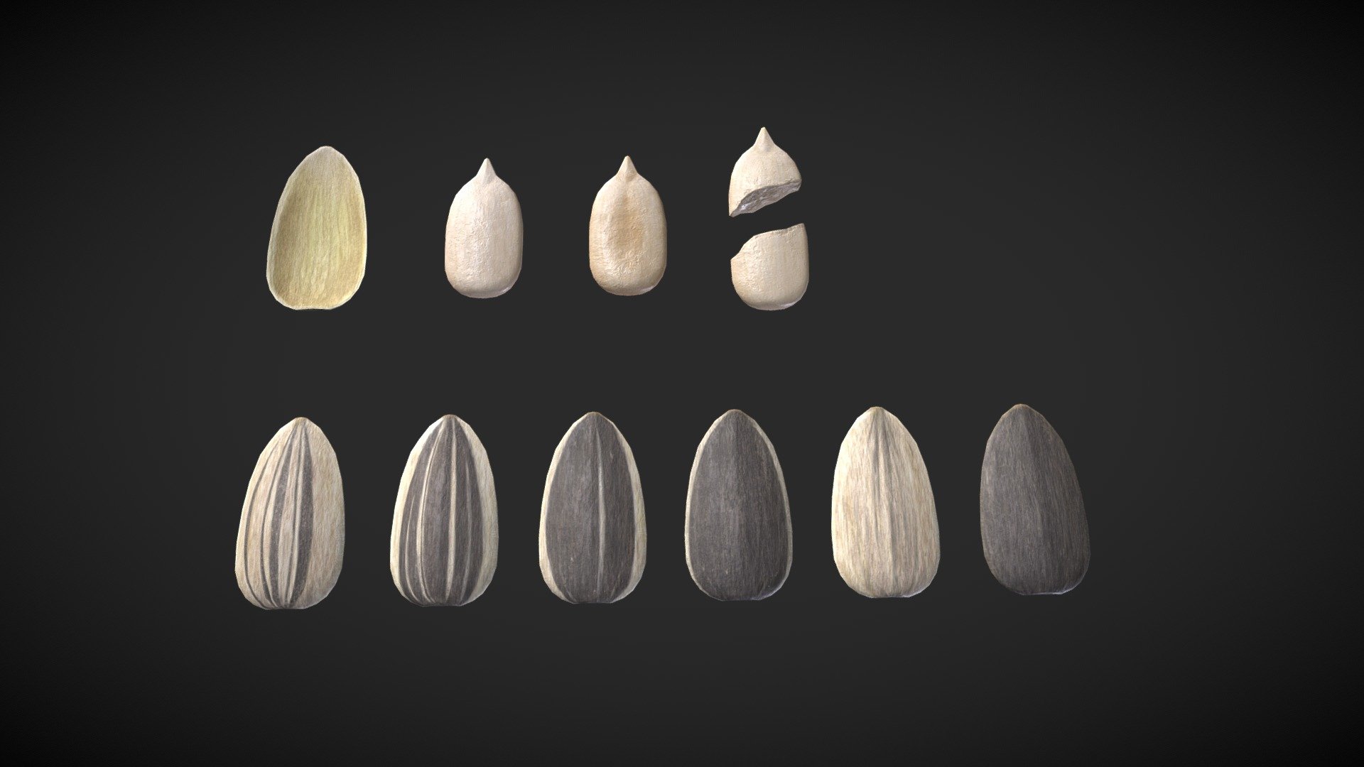 Sunflower seeds model with shell and salt variations 3d model