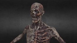 Decayed Zombie A dead, bloody, scary, realistic, corpse, unrealengine, decayed, unity3d, monster, horror, zombie, decomposed