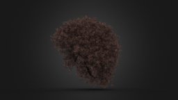 Curly Hairs v9 basemesh, purple, brown, high-poly, realistic, afro, game-ready, ue4, unrealengine, unrealengine4, curly, high-quality, pbr-shader, hairstyle, kinky, kink, wavy, hairs, mobile-game, short-hair, mobile-ready, pbr-game-ready, pbr-materials, character-stylizedcharacter, character, unity3d, 3d, pbr, lowpoly, black, ue5, unrealengine5, hair-style, kink-hairs, long-hairs, base-hair, character-style