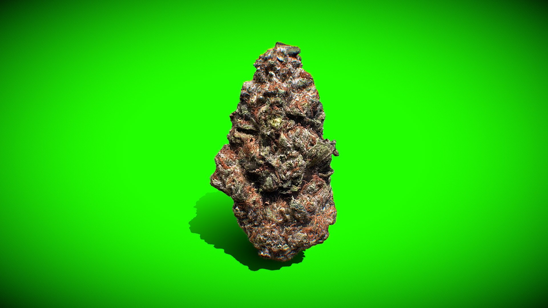 Explore the intricate beauty of cannabis with this highly detailed 3D model showcasing a weed nugget. Immerse yourself in the world of marijuana as you examine the textures, shapes, and colors of this iconic cannabis bud.

From the resinous trichomes to the vibrant green hues, this model captures the essence of a high-quality cannabis nugget. Whether you're a cannabis enthusiast, a designer incorporating natural elements into your projects, or simply curious about the intricacies of marijuana, this model offers a captivating exploration of the cannabis plant 3d model