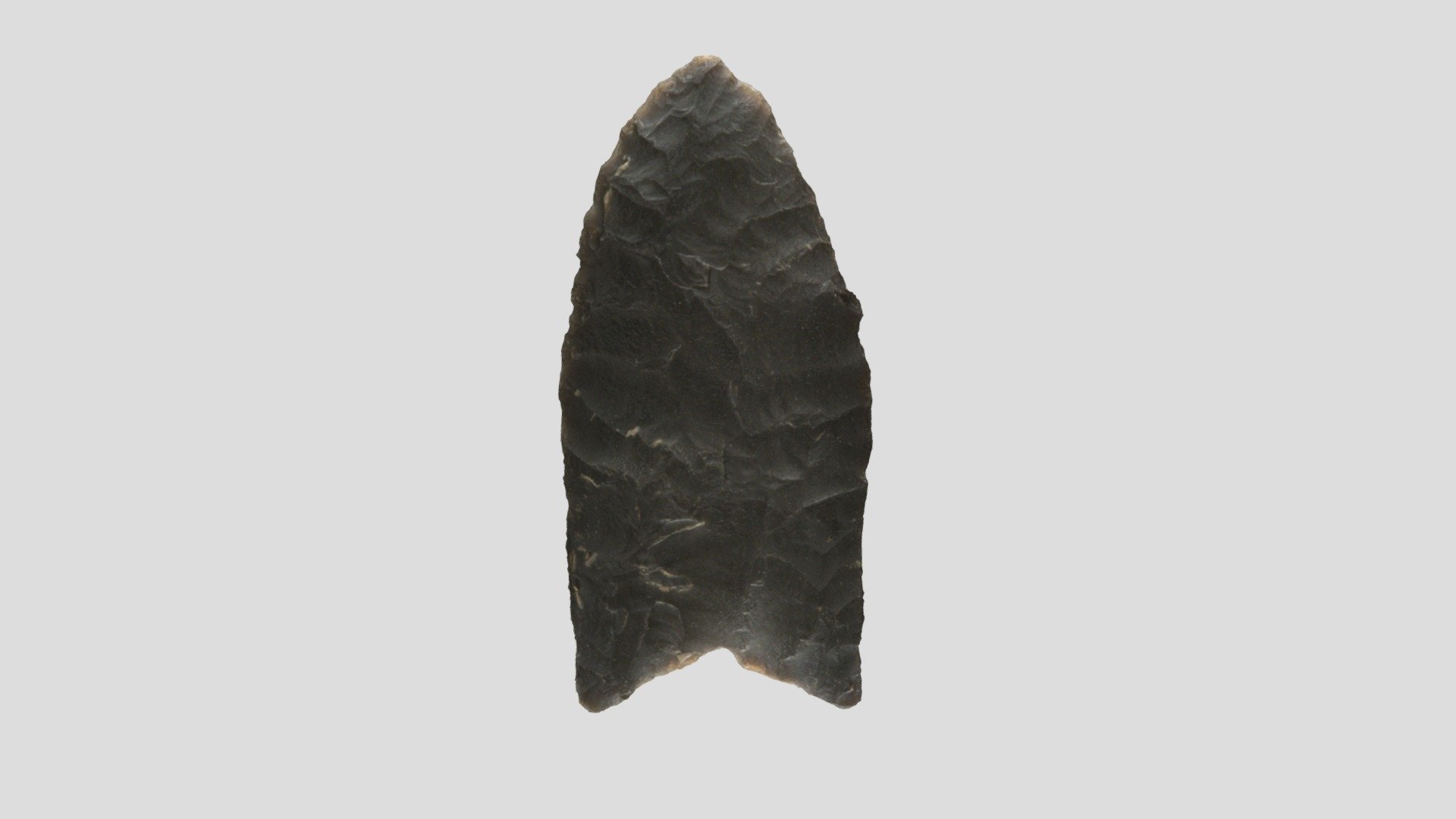 Discovered in Watauga County, NC in 1994 by Margot Birckhead.
Pleistocene-aged Clovis point made of black Chert from the Knox formation. 
Weight: 5.1g
Length: 41.36mm
Width: 19.81mm
Thickness: 5.13mm
The point was presented for custody to the Eastern Band of Cherokee Indians in 2016 3d model