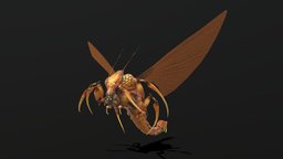 bug10 insect, beast, bug, beetle, reaper