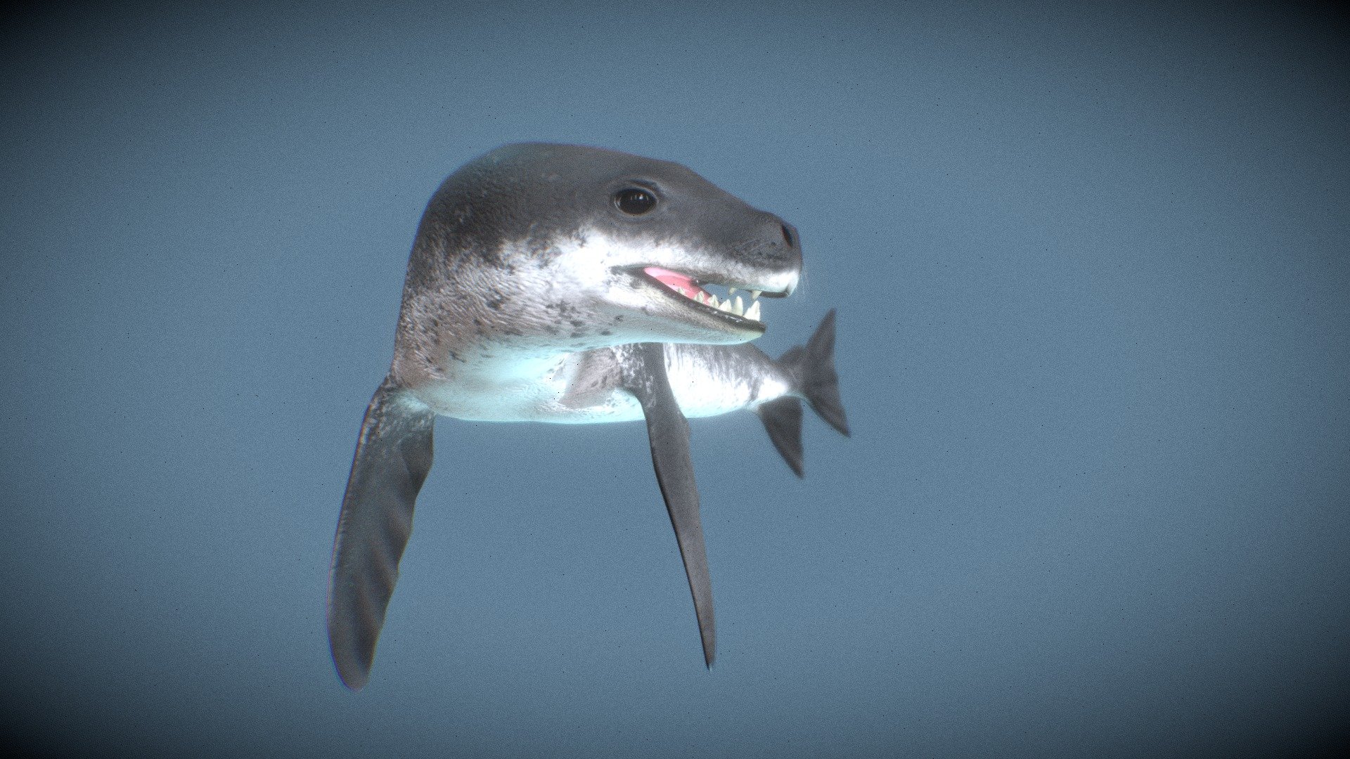 Leopard Seal (Hydrurga Leptonyx) - 3D model by Major (@majorgalah) 3d model