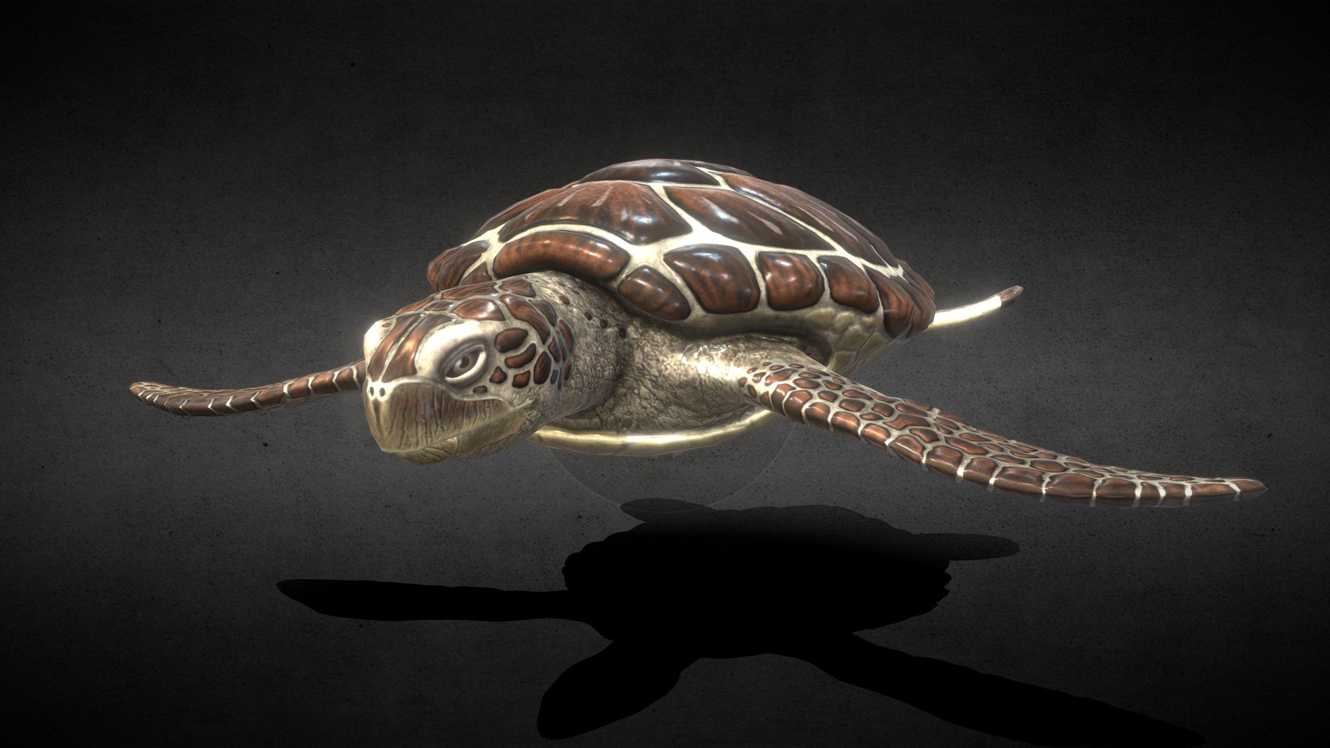 Chelonia mydas. Also known as the green turtle, black (sea) turtle or Pacific green turtle,[4] is a species of large sea turtle of the family Cheloniidae. It is the only species in the genus Chelonia 3d model