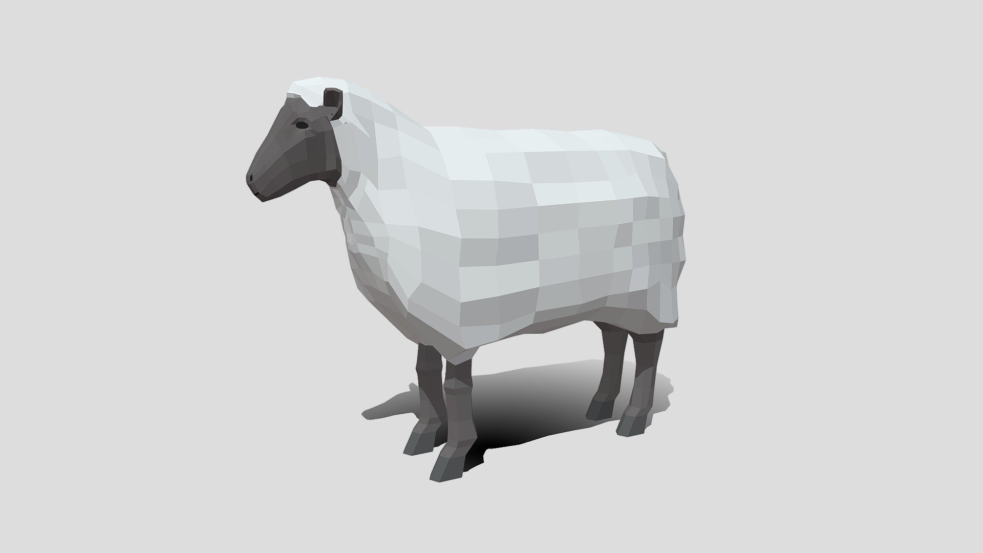 This is a low poly 3d model of a sheep. The low poly sheep was modelled and prepared for low-poly style renderings, background, general CG visualization.

The 3d sheep model is presented as a mesh with quads only.

Verts : 992 Faces: 990

Simple diffuse colors.

No ring, maps and no UVW mapping is available.

The original file was created in blender. You will receive a 3DS, OBJ, FBX, blend, DAE, Stl.

All preview images were rendered with Blender Cycles. Product is ready to render out-of-the-box. Please note that the lights, cameras, and background is only included in the .blend file. The model is clean and alone in the other provided files, centred at origin and has real-world scale 3d model