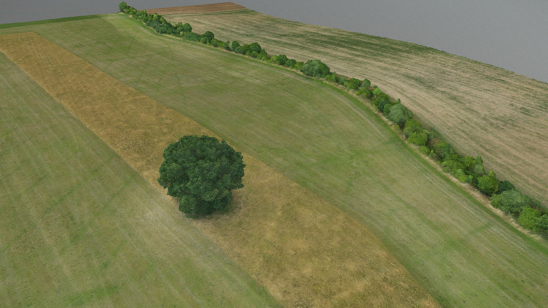 3D agriculture field crops drone aerial inspection, soil health check, irrigation conditions, wheat corn and grass meadow with some trees and road

drone photogrammetry scan (380x), 4x8k textures + hd normals 
☕ consider https://www.buymeacoffee.com/matousekfoto - 3D field inspection - Download Free 3D model by matousekfoto 3d model