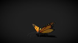 Fluttering Butterfly insect, spring, butterfly, nature, mariposa, papillon, pbr-game-ready, schmetterling, blender, pbr, lowpoly, fly, animation, animated, rigged, flying-animation, rhopalocera, papilionidae, kayozz