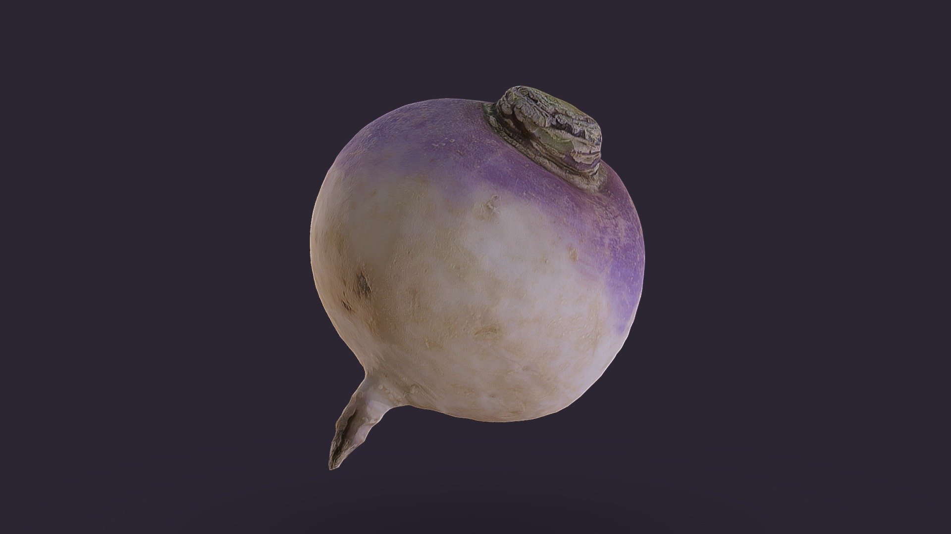 It's a low poly(ish) turnip! 

Scanned for #3dscaqnfruitveg challenge.

More info:
https://blog.sketchfab.com/monthly-3d-scanning-challenge-horn-plenty/

&ldquo;The turnip or white turnip (Brassica rapa subsp. rapa) is a root vegetable commonly grown in temperate climates worldwide for its white, bulbous taproot.

Small, tender varieties are grown for human consumption, while larger varieties are grown as feed for livestock.

In the north of England and Scotland, and eastern Canada (Newfoundland), turnip (or neep; the word turnip is an old compound of tur- as in turned/rounded on a lathe and neep, derived from Latin napus) often refers to the larger, yellow rutabaga root vegetable, also known as the &ldquo;swede