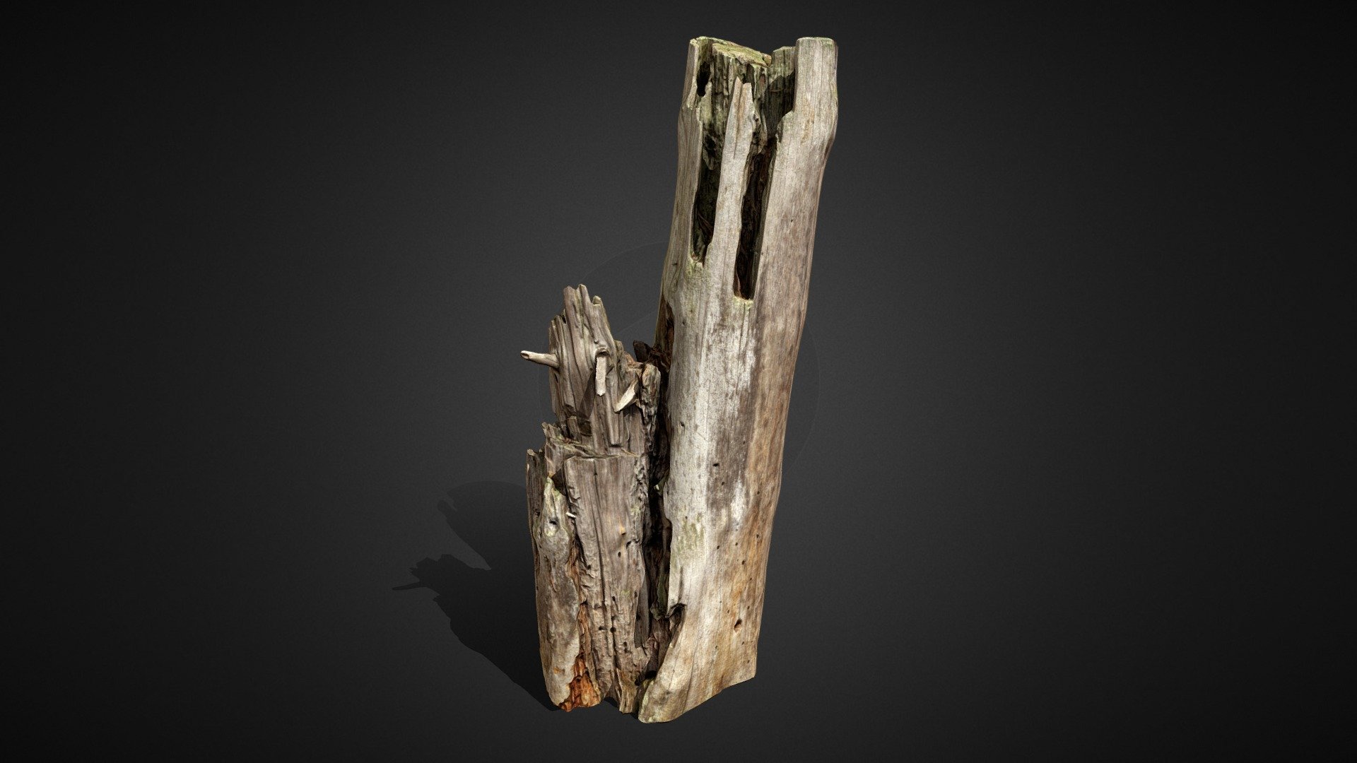 Rotten tree trunk - 3D model by ZiemniaQ 3d model