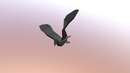 Low poly Crow- Fly cycle bird, wings, cycle, rig, crow, 2018, maya, low, poly, fly, animation, animated, black