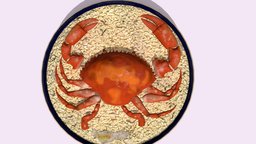 Crab Rice food, taiwan, cg, restaurant, asia, dinner, crab, rice, vr, meal, ar, chinese, lunch, game, pbr, lowpoly